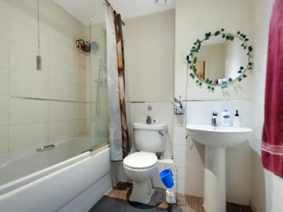 Picture 7